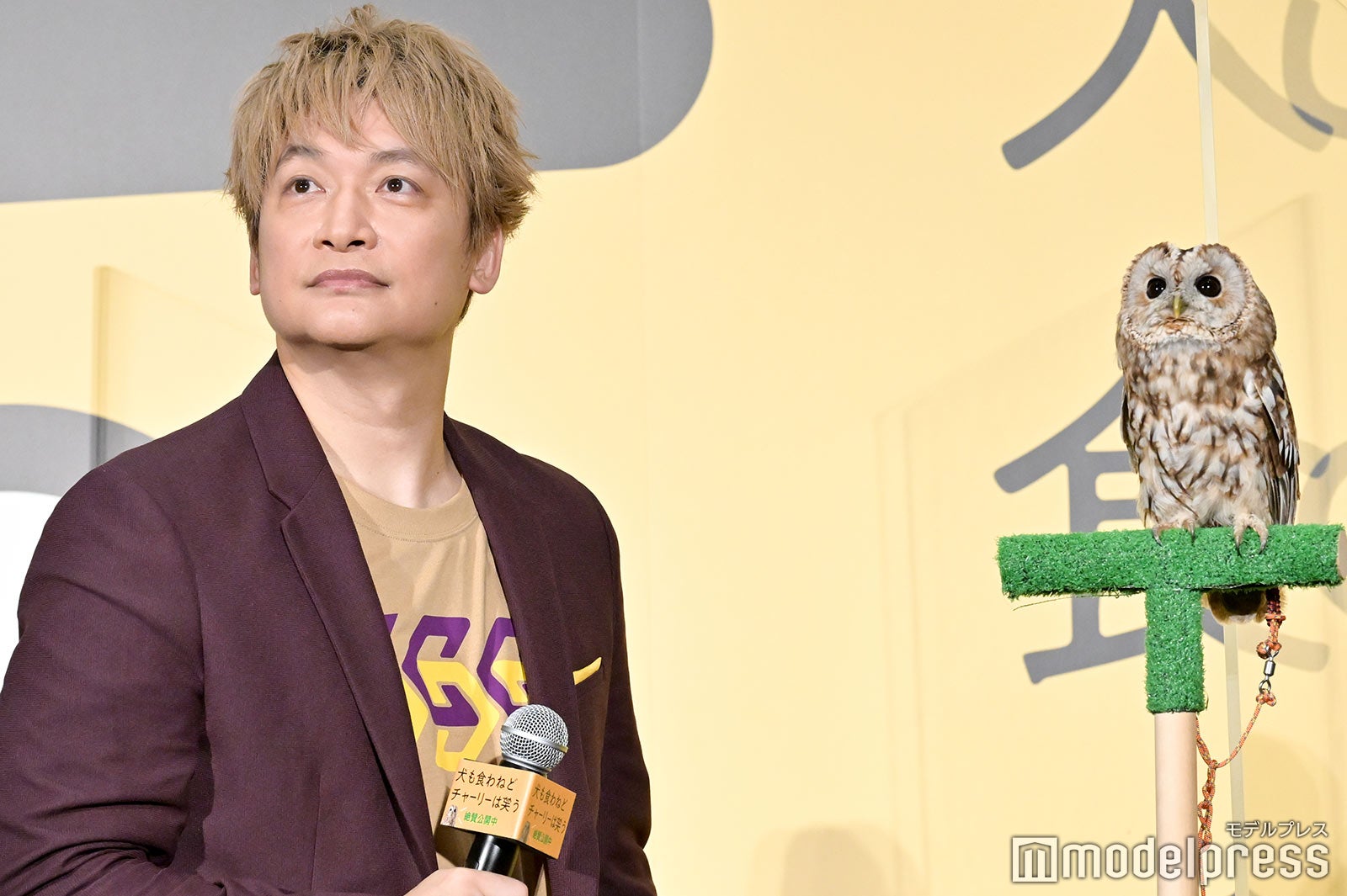 香取慎吾 （C）モデルプレス