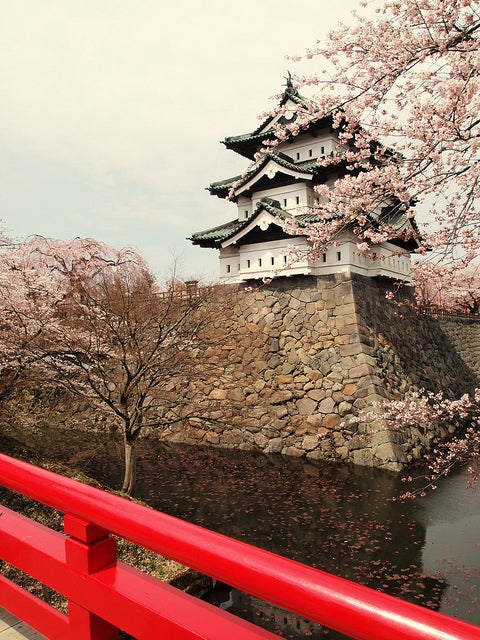 「弘前公園」弘前城と桜／Photo by y_katsuuu