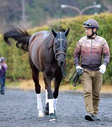 【高松宮記念】ナムラクレア 7枠13番で有終へ 長谷川師「競馬しやすい」