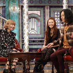 きゃりーぱみゅぱみゅ、観月ありさ、又吉直樹