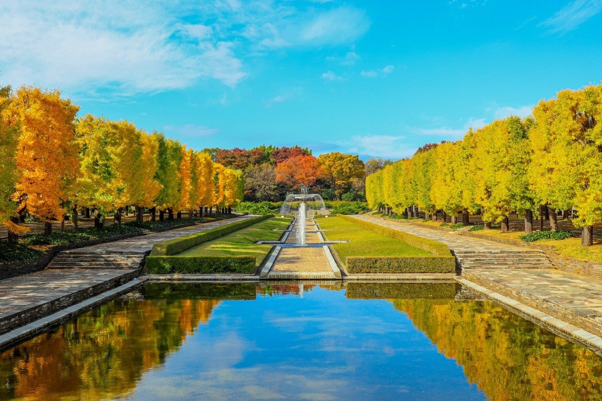 国営昭和記念公園／提供画像