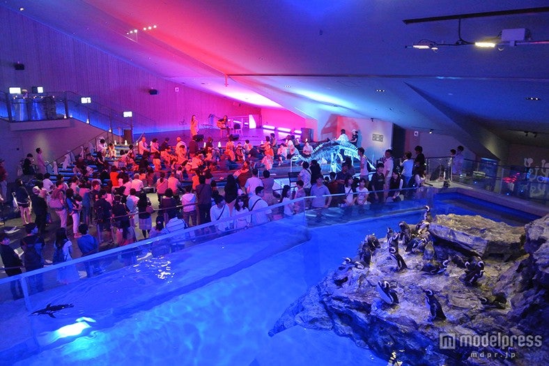 ペンギンプールの前で行うアーティストによるライブ／画像提供：すみだ水族館