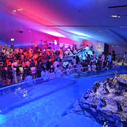 ペンギンプールの前で行うアーティストによるライブ/画像提供:すみだ水族館
