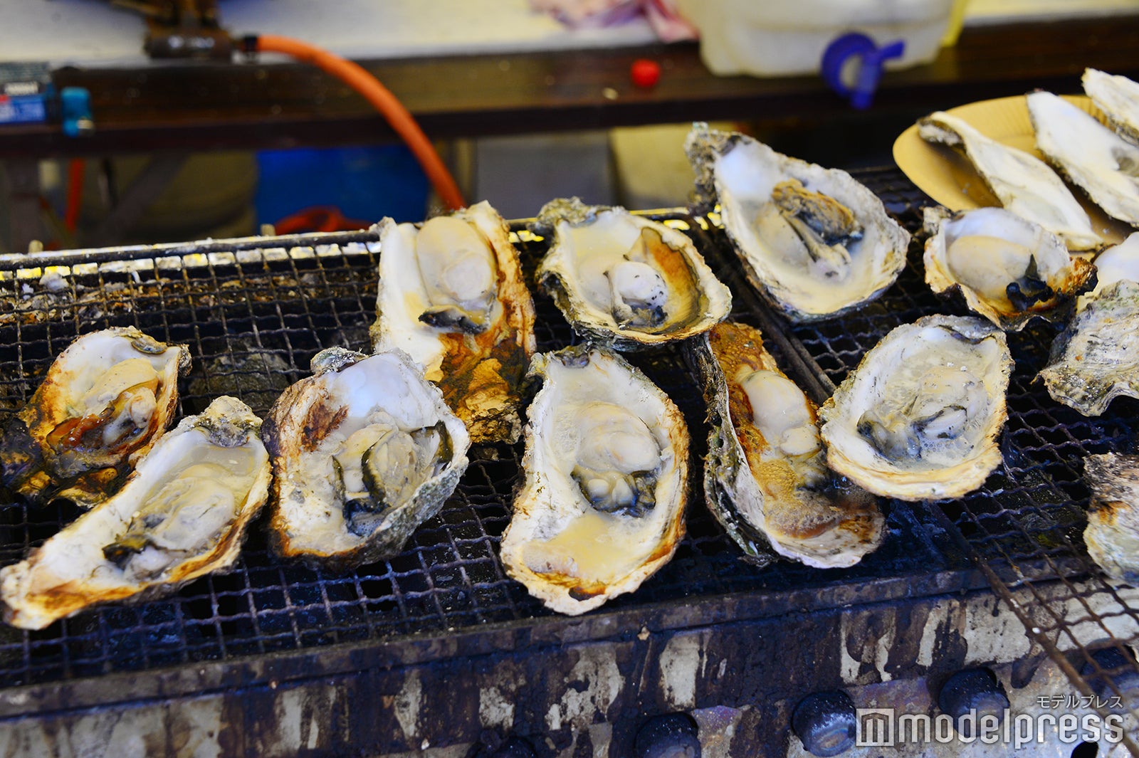 ご当地鍋フェスティバル（C）モデルプレス