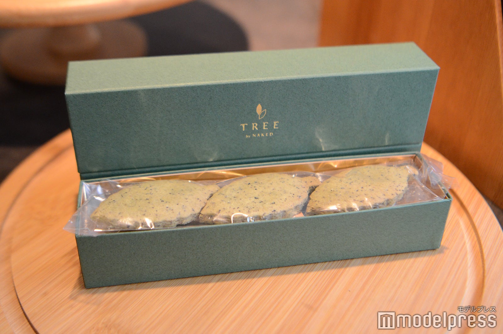 TREE by NAKED yoyogi park（C）モデルプレス