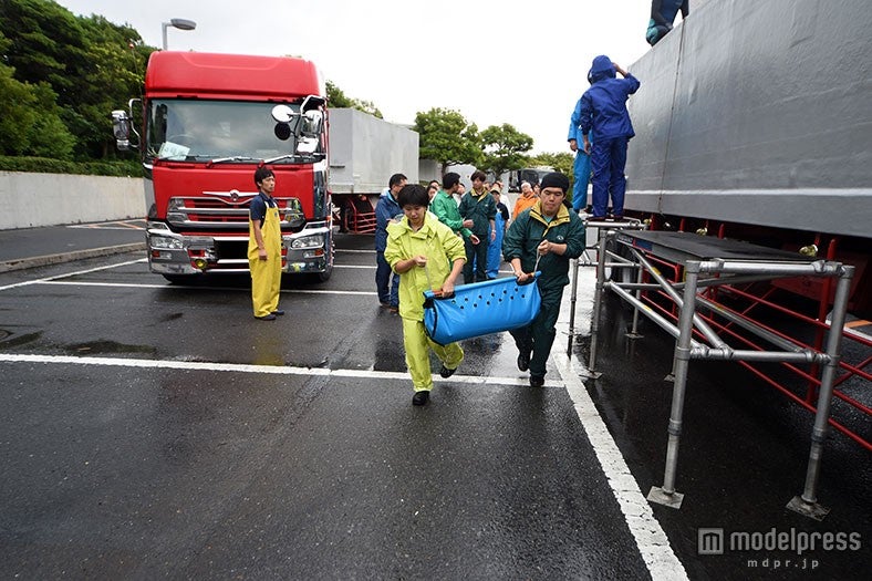 葛西臨海水族園に到着したクロマグロを水槽へ運ぶ様子（公財）東京動物園協会提供