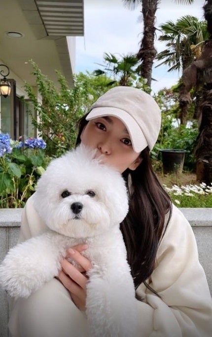 ソン ヘギョ 愛犬と楽しいひととき モデルプレス