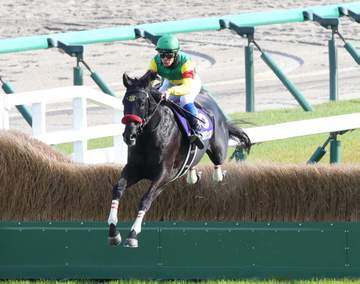 【中山GJ】エコロデュエル 圧巻のJG1.3連覇達成 異次元の強さに草野「後ろの馬が見えなかった」 岩戸師は無敵宣言「何が来ても大丈夫」