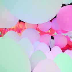 タイフーンボールと重力にあらがう呼応する生命の森 - 曖昧な9色と基本の3色／画像提供：チームラボ