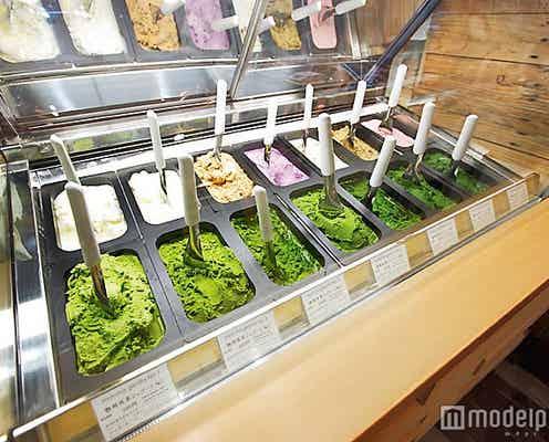 「ありえないほど濃い」と話題の抹茶ジェラートが浅草で楽しめる!