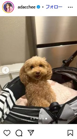 足立梨花Instagram