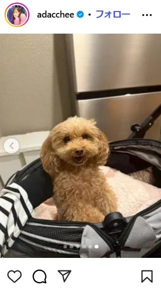 足立梨花Instagram