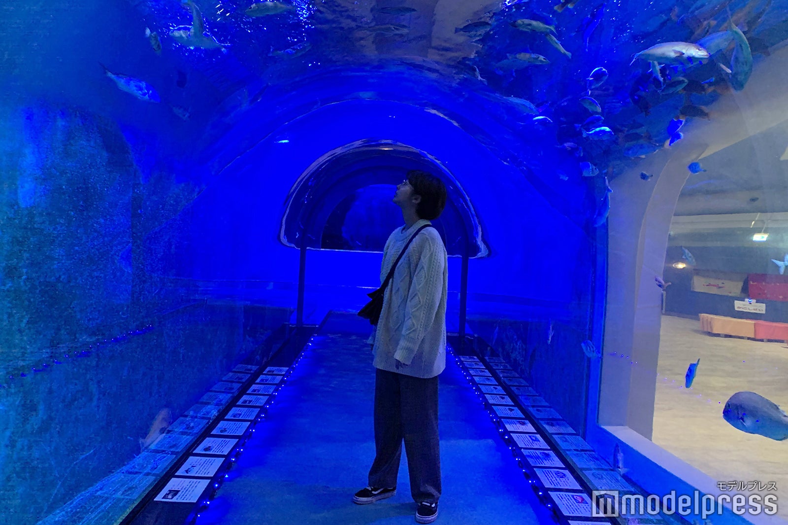 海遊歩道に足を踏み入れれば、海中をさまよっているような気分（C）モデルプレス