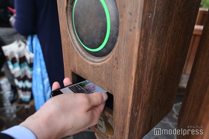 ディズニー・プレミアアクセス(C)モデルプレス