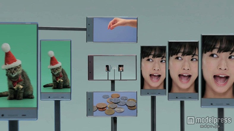 キュートな子猫サンタ