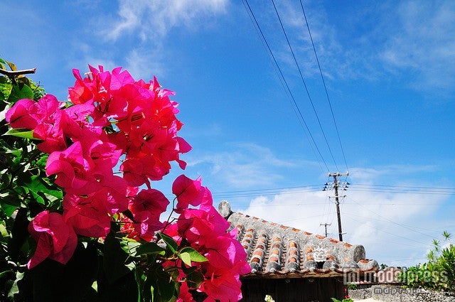 沖縄離島に「移住したい」人急増中　“神秘の島”の魅力に迫る