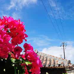 沖縄離島に「移住したい」人急増中 “神秘の島”の魅力に迫る