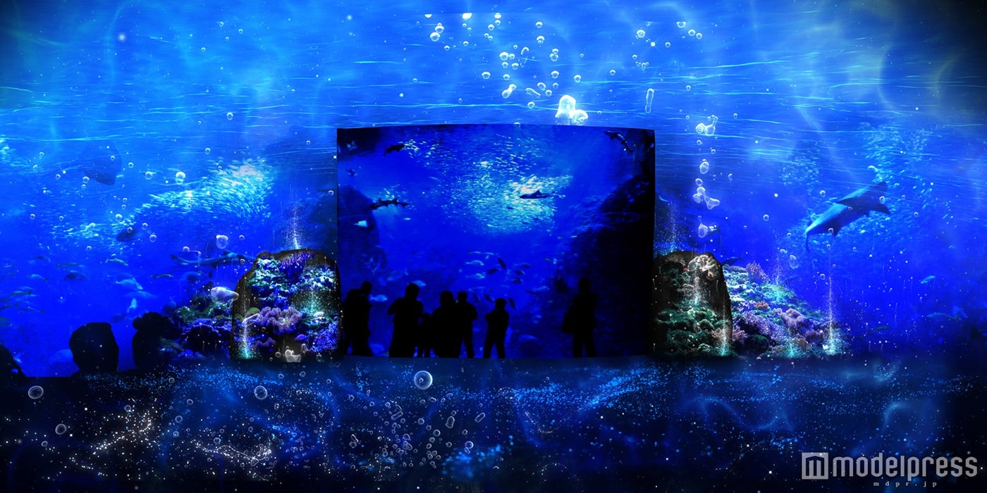 そして、あなたは魚になる［相模湾ゾーン／相模湾大水槽］／画像提供：新江ノ島水族館