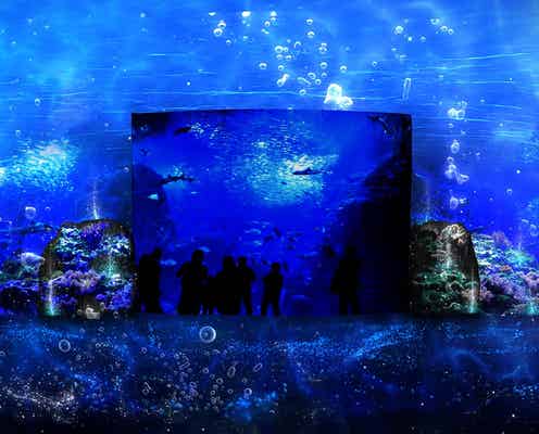 神秘的な夜の海を体感「ナイトワンダーアクアリウム」 新江ノ島水族館で感動体験
