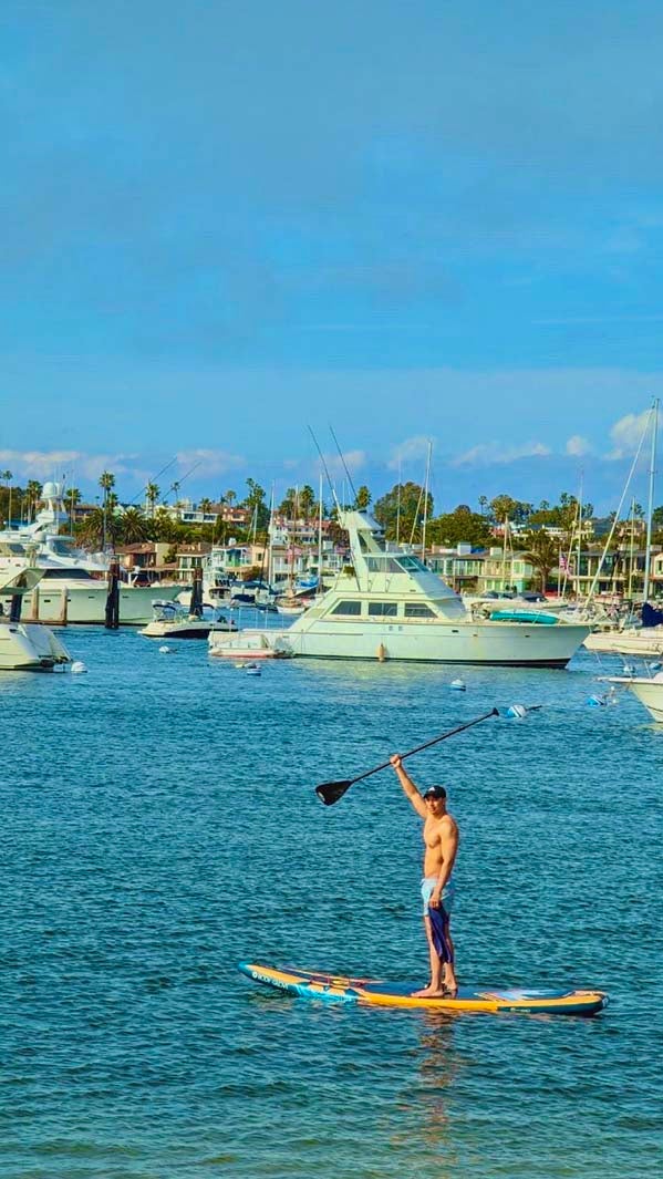 當間ローズ（提供写真）