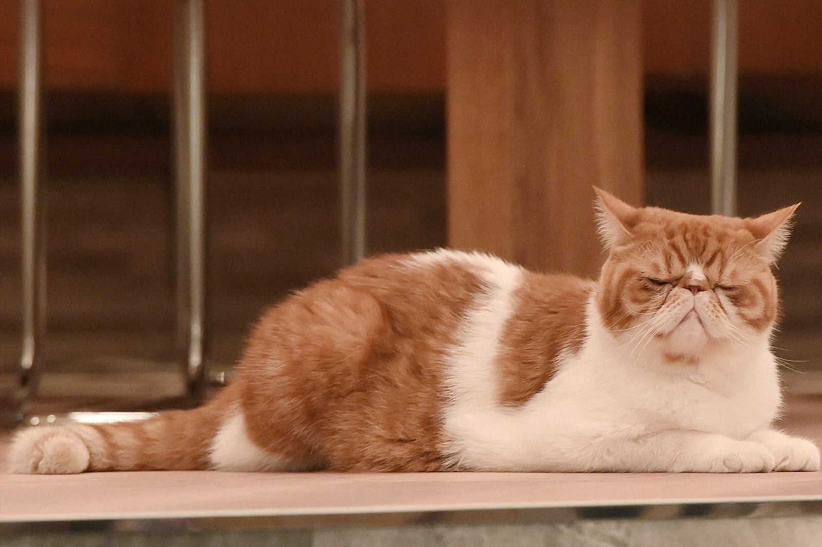 「婚姻届に判を捺しただけですが」第4話より（C）TBS