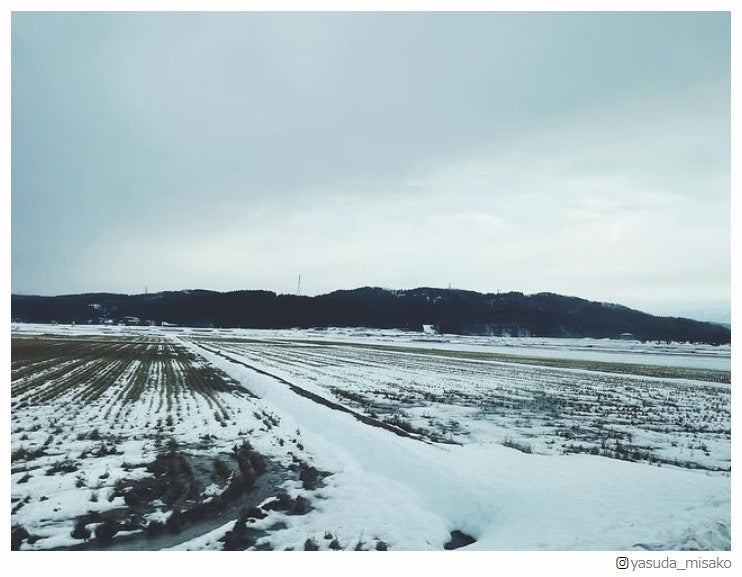 安田美沙子Instagramより