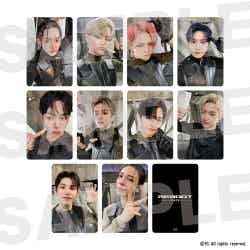 トレーディングカード(ランダム10種)税込550円(C)YG