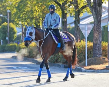 メイショウタバルは大阪杯か予備登録のドバイWCデー諸競走から始動戦