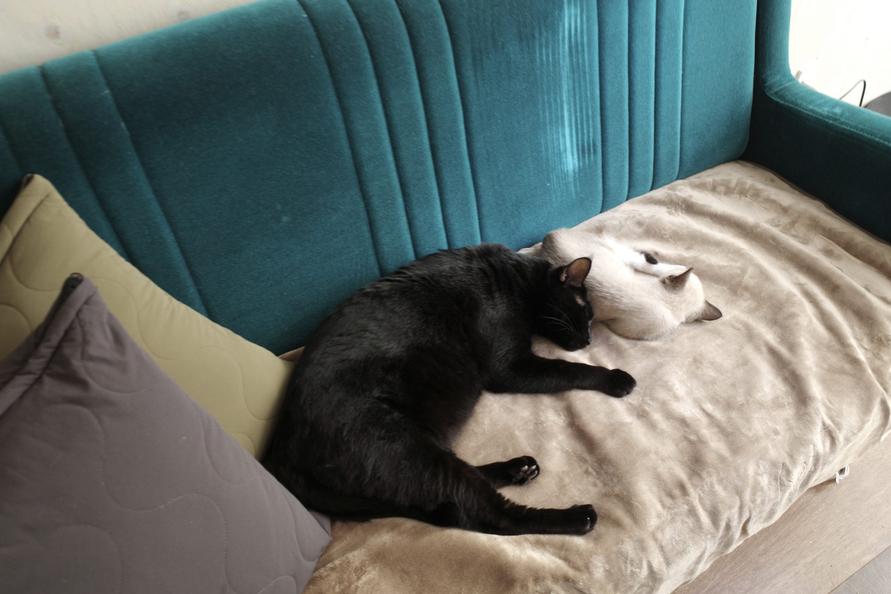 無印良品ソファやベッドで使えるホットシート