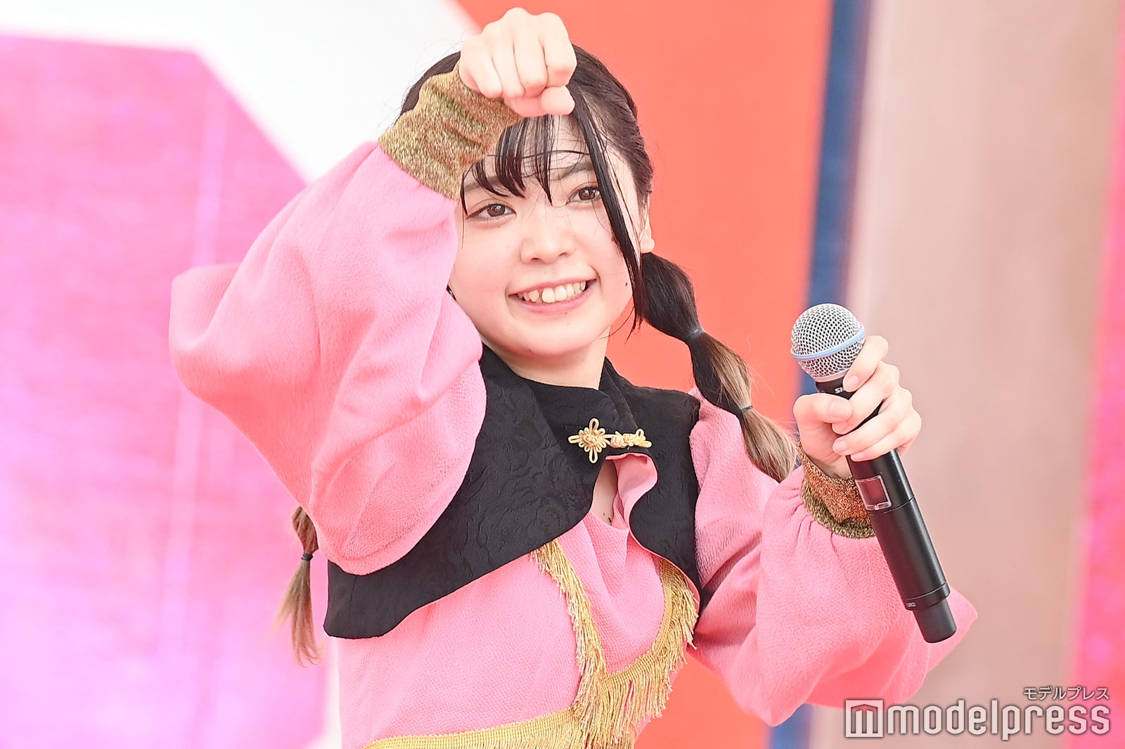 豆柴の大群（C）モデルプレス