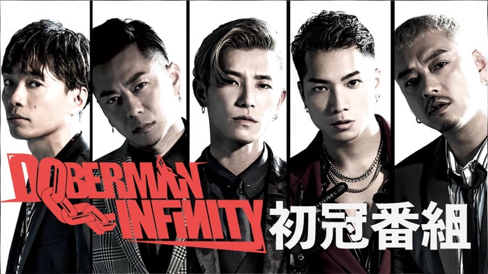 Doberman Infinity 壁紙