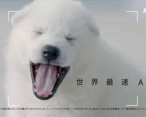 木村拓哉、かわいい共演者にキス