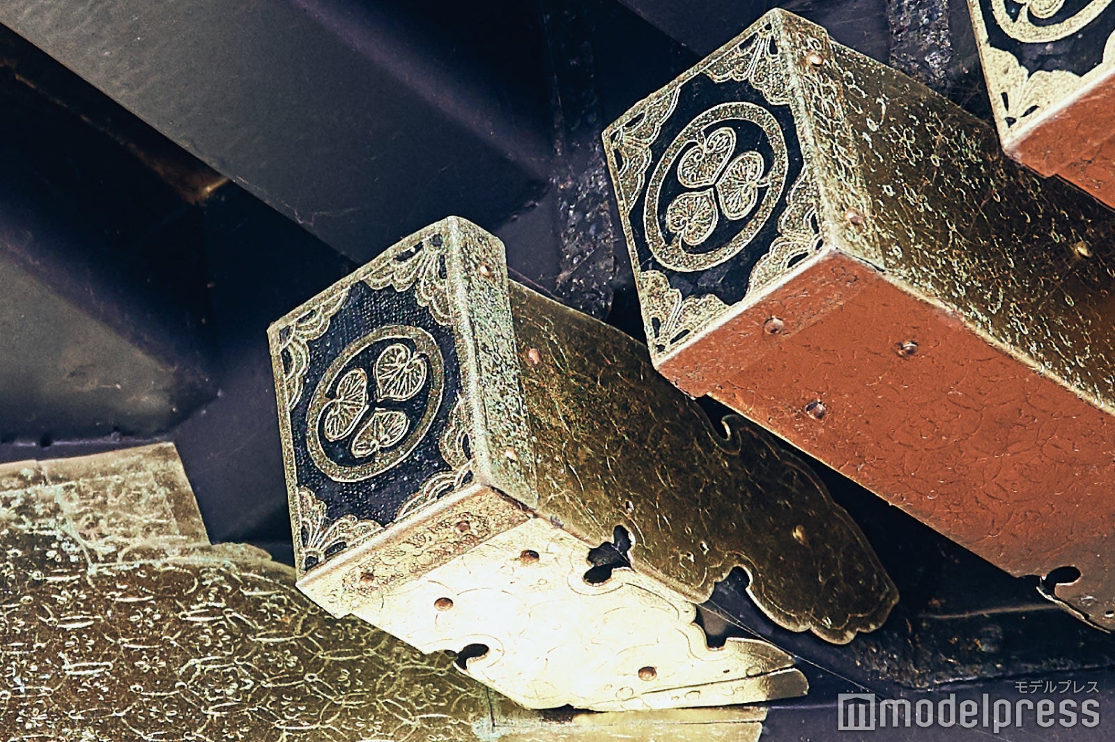 ひなんちゅが教えてくれた“逆さ葵”。どこにあるのかは行ってからのお楽しみ！（C）モデルプレス