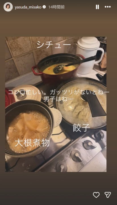 安田美沙子Instagramストーリーズより