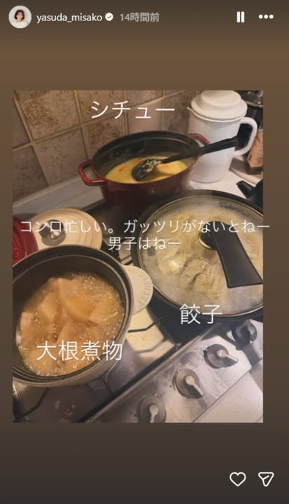 安田美沙子Instagramストーリーズより