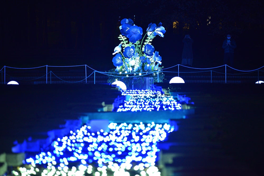 花と光のムーブメント／提供画像