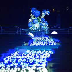 花と光のムーブメント/提供画像