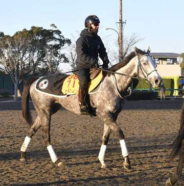 カピリナは予定通りヴィクトリアMへ向かう