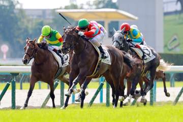 【新馬戦】レインインザスカイ 豪快差し切りデビューV 北村友がレース内容評価「メリハリの利いたレースができた」
