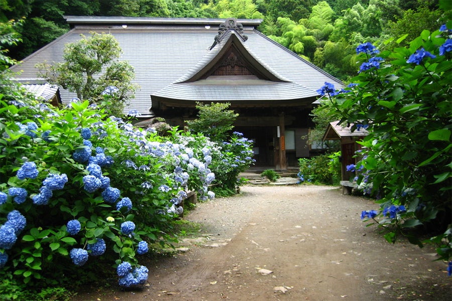 阿弥陀寺