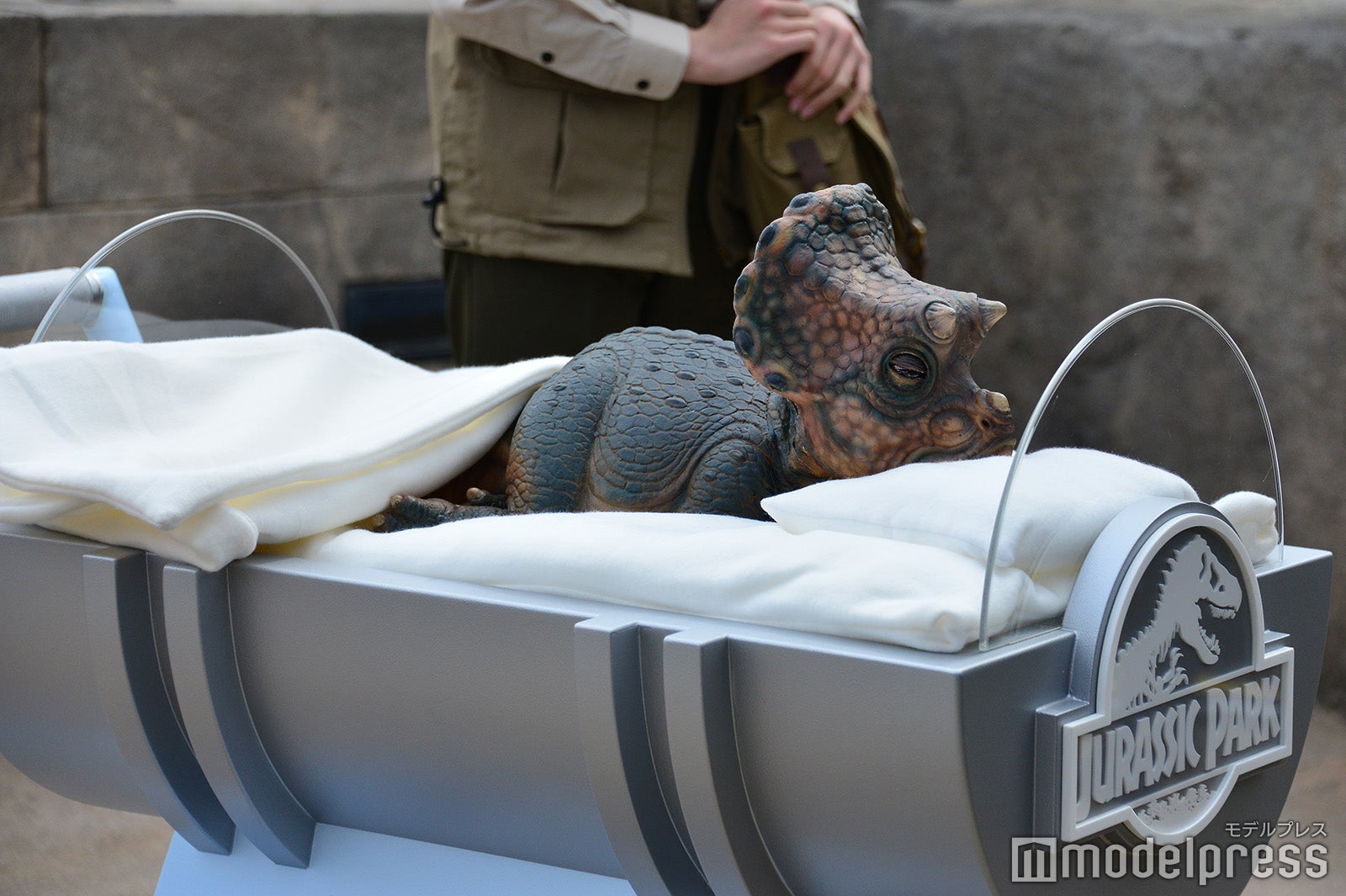 （C）モデルプレス