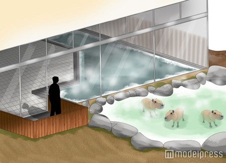 「王国温泉 カピバラの湯」カピバラエリアイメージ／画像提供：那須どうぶつ王国
