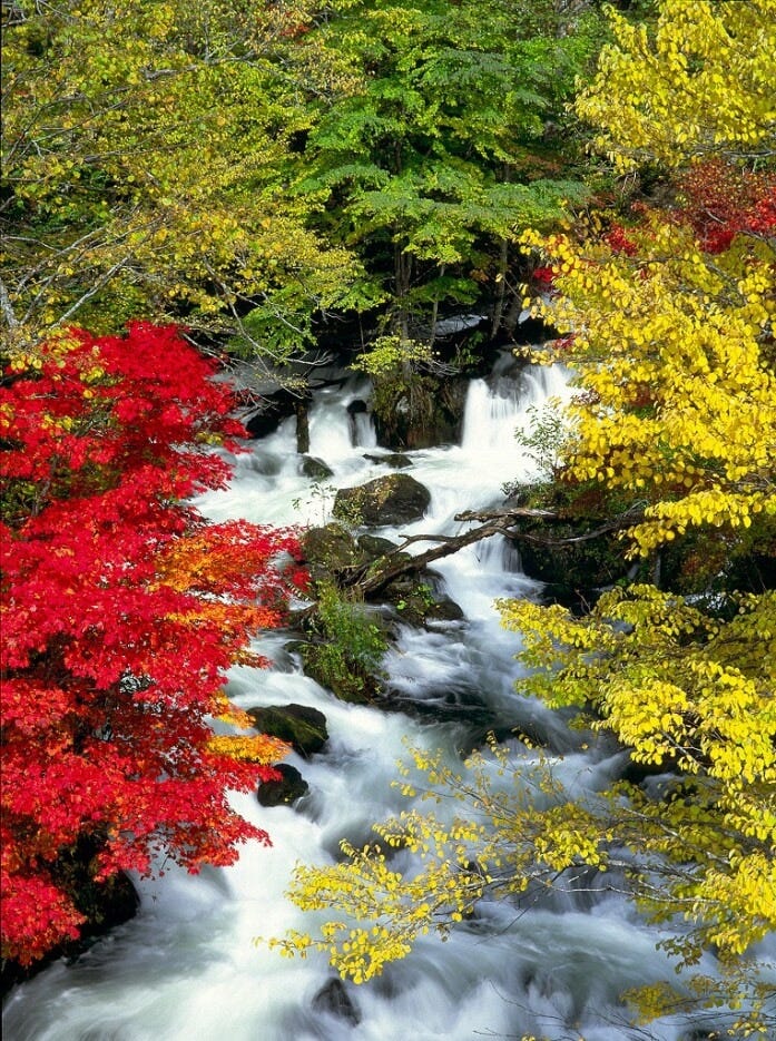 滝見橋から見る紅葉