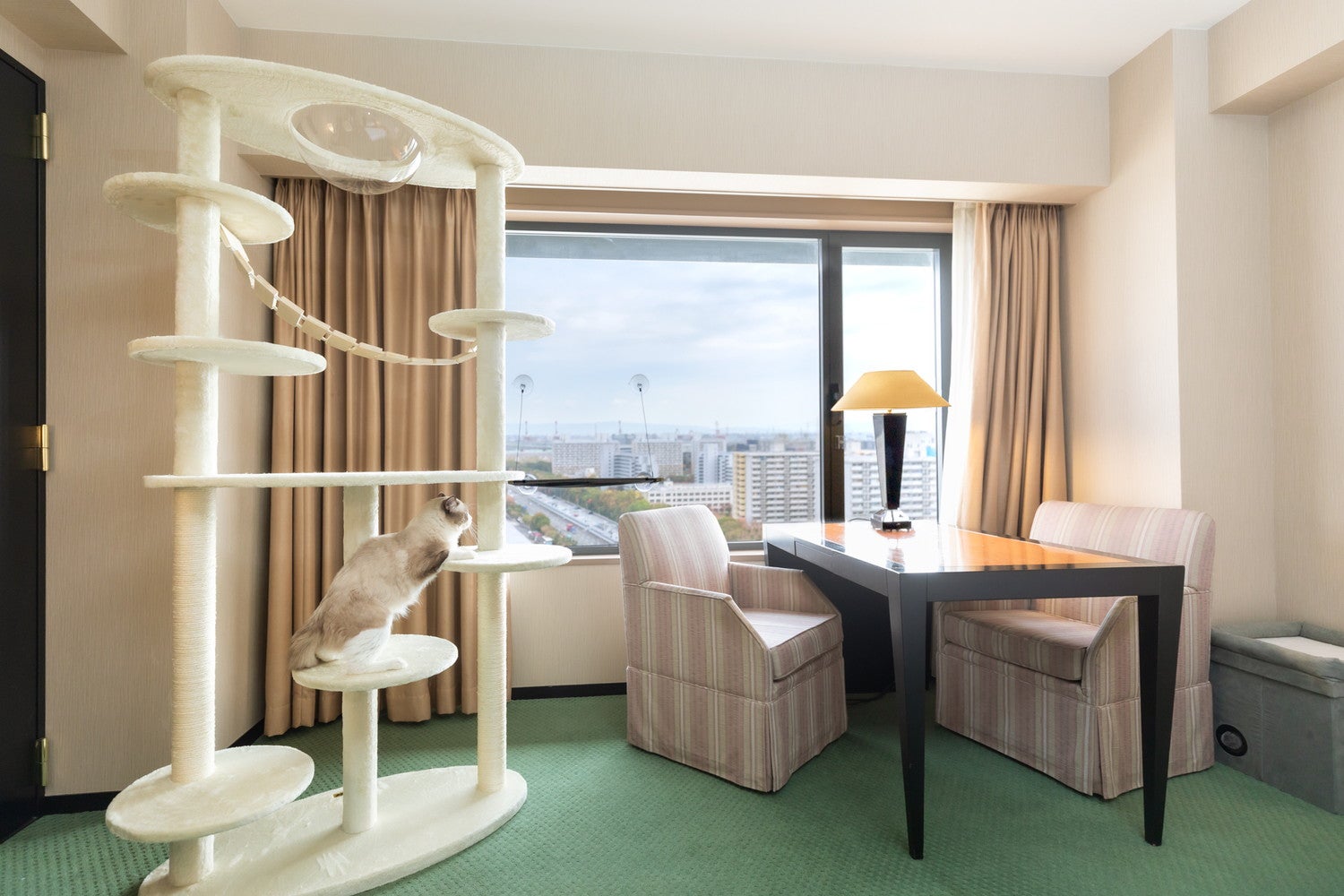 愛猫と泊まれる「キャットフレンドリールーム」ハイアット リージェンシー 大阪に登場