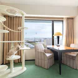 キャットタワー/画像提供:ハイアット リージェンシー 大阪