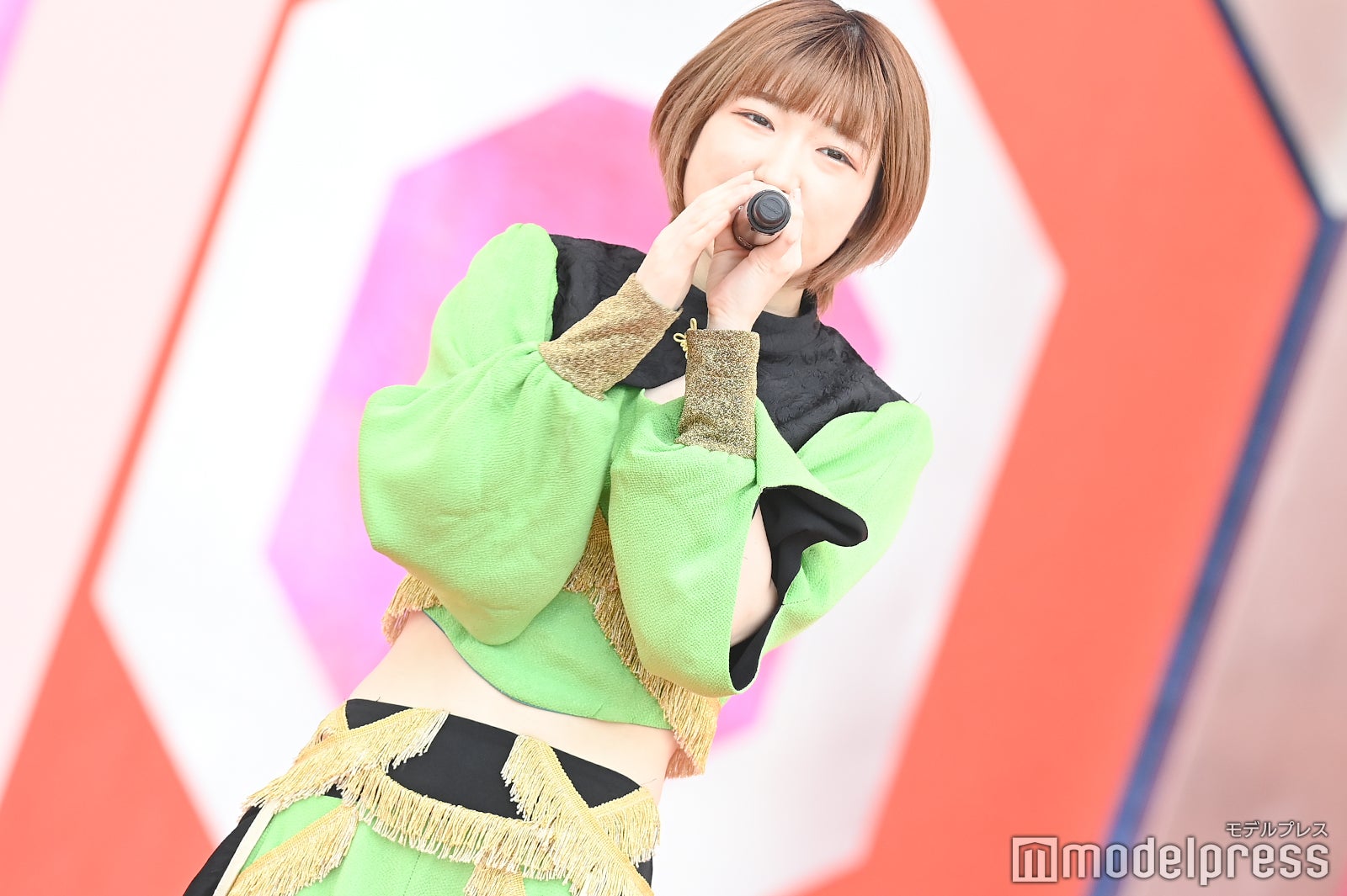 豆柴の大群（C）モデルプレス