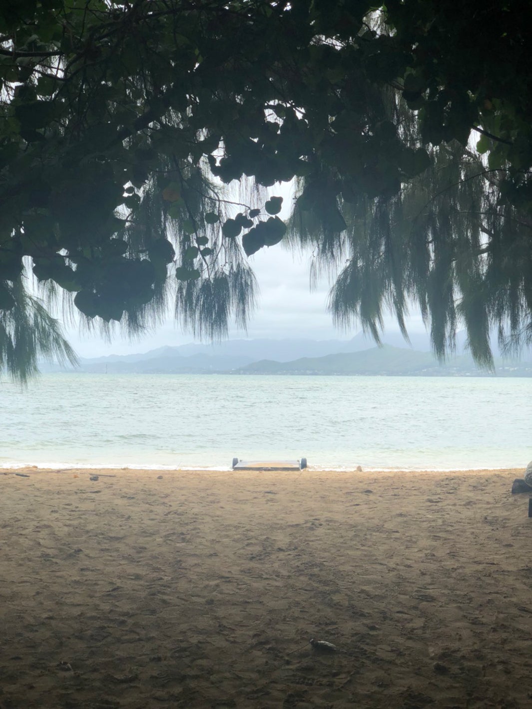 Secret Island Beach（提供画像）
