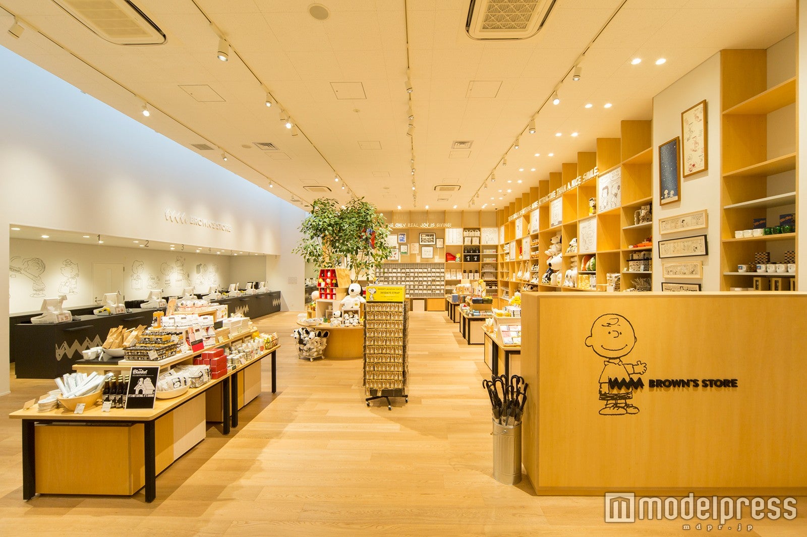 （C）Peanuts Worldwide LLC