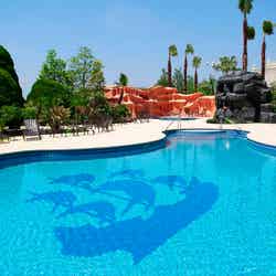 ミスティマウンテンズ・プール(C)Disney