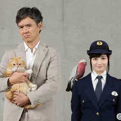 モデルプレス - 橋本環奈、髪を切り連ドラ初ヒロイン 渡部篤郎とコンビ結成「彼女のことを支えていきたい」
